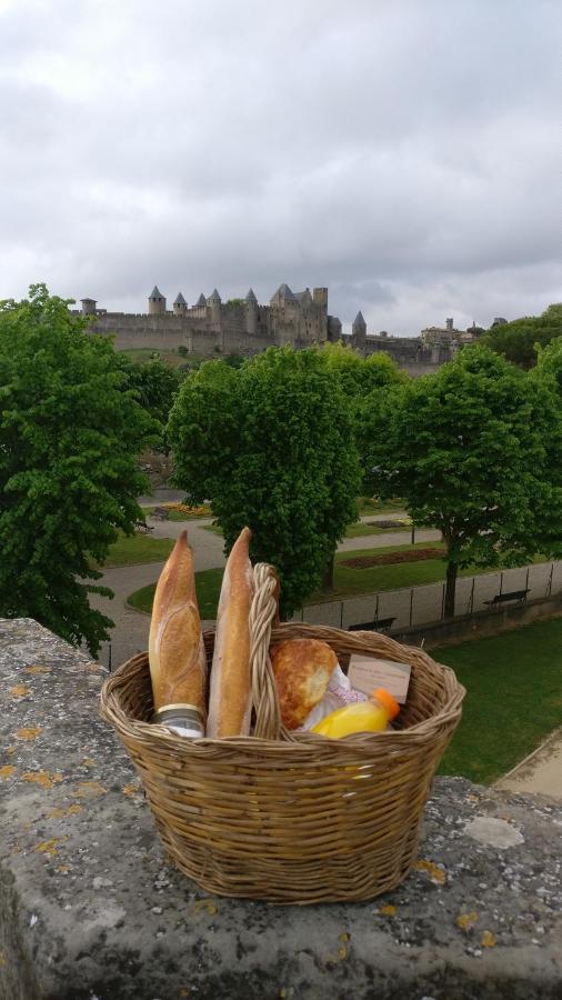Santocha : Appartement En Plein Coeur De Ville ! Carcassonne Dış mekan fotoğraf