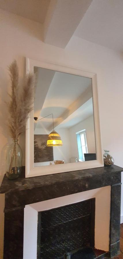 Santocha : Appartement En Plein Coeur De Ville ! Carcassonne Dış mekan fotoğraf