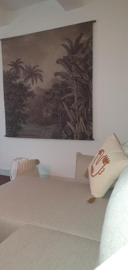 Santocha : Appartement En Plein Coeur De Ville ! Carcassonne Dış mekan fotoğraf